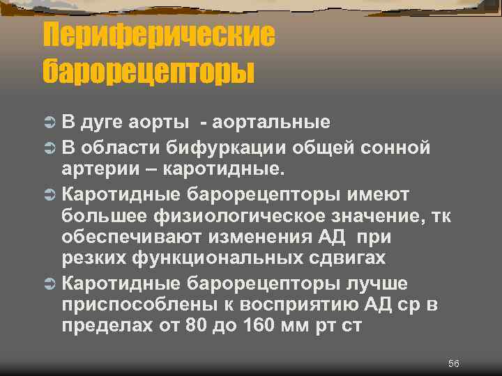 Периферические барорецепторы ÜВ дуге аорты - аортальные Ü В области бифуркации общей сонной артерии