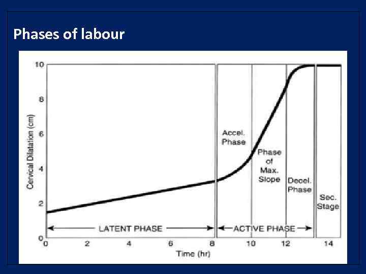 Phases of labour 