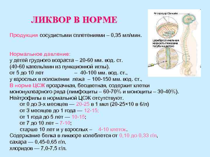 ЛИКВОР В НОРМЕ Продукция сосудистыми сплетениями – 0, 35 мл/мин. Нормальное давление: у детей