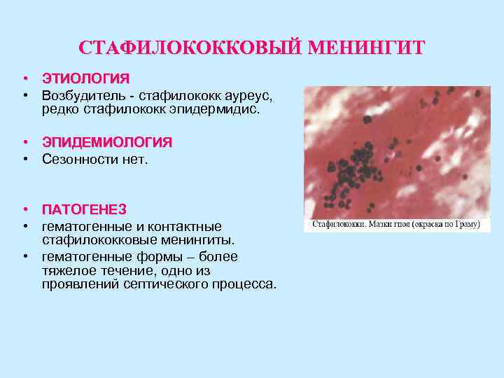 СТАФИЛОКОККОВЫЙ МЕНИНГИТ • ЭТИОЛОГИЯ • Возбудитель - стафилококк ауреус, редко стафилококк эпидермидис. • ЭПИДЕМИОЛОГИЯ