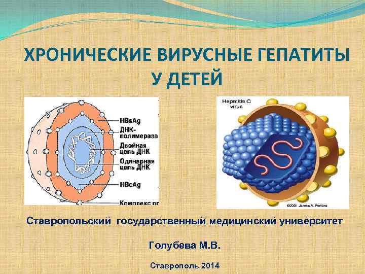 ХРОНИЧЕСКИЕ ВИРУСНЫЕ ГЕПАТИТЫ У ДЕТЕЙ Ставропольский государственный медицинский университет Голубева М. В. Ставрополь 2014