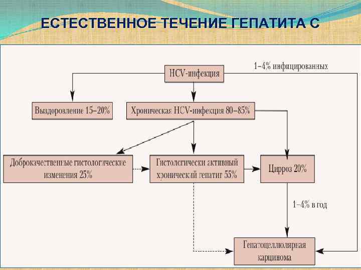ЕСТЕСТВЕННОЕ ТЕЧЕНИЕ ГЕПАТИТА С 