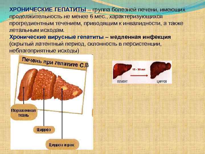 ХРОНИЧЕСКИЕ ГЕПАТИТЫ – группа болезней печени, имеющих ХРОНИЧЕСКИЕ ГЕПАТИТЫ продолжительность не менее 6 мес.