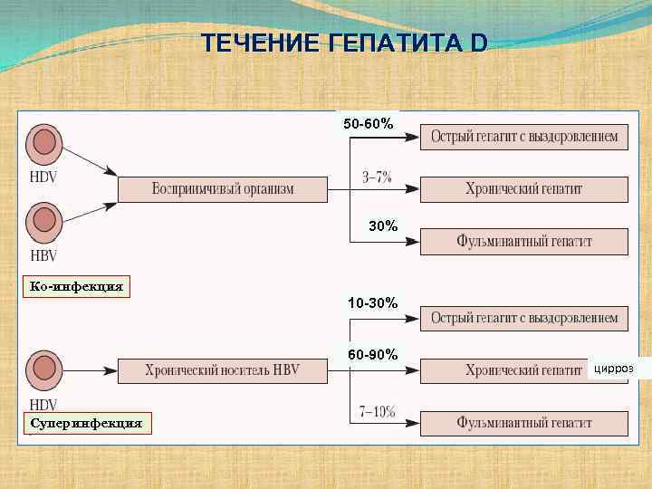 ТЕЧЕНИЕ ГЕПАТИТА D 50 -60% 30% Ко-инфекция 10 -30% 60 -90% Суперинфекция цирроз 
