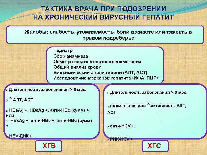 ТАКТИКА ВРАЧА ПРИ ПОДОЗРЕНИИ НА ХРОНИЧЕСКИЙ ВИРУСНЫЙ ГЕПАТИТ Жалобы: слабость, утомляемость, боли в животе