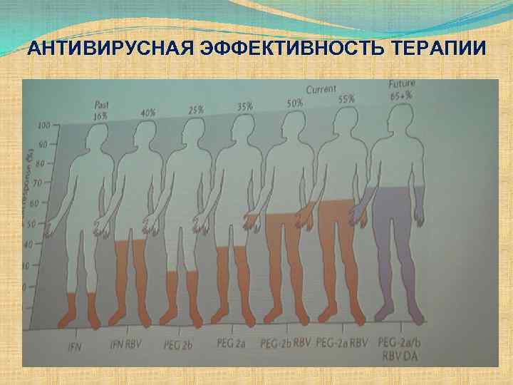 АНТИВИРУСНАЯ ЭФФЕКТИВНОСТЬ ТЕРАПИИ 