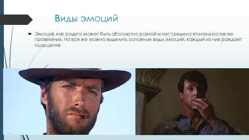 Виды эмоций Эмоция, как радуга может быть абсолютно разной и нет предела «тональности» ее