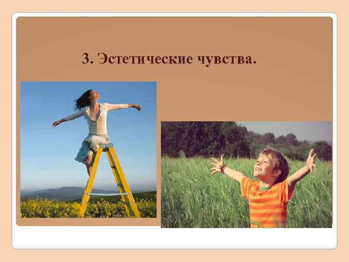 3. Эстетические чувства. 