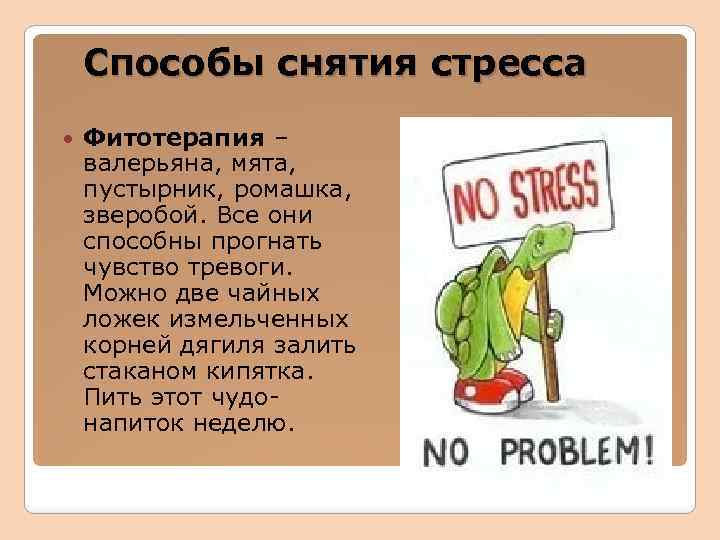 Способы снятия стресса Фитотерапия – валерьяна, мята, пустырник, ромашка, зверобой. Все они способны прогнать