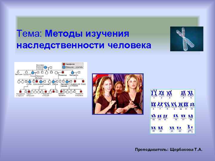 Тема: Методы изучения наследственности человека Преподаватель: Щербакова Т. А. 