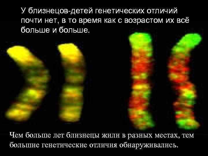 У близнецов-детей генетических отличий почти нет, в то время как с возрастом их всё