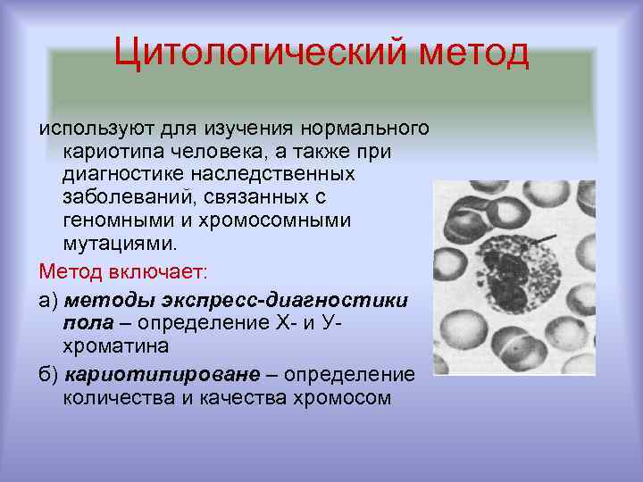 Цитологический метод используют для изучения нормального кариотипа человека, а также при диагностике наследственных заболеваний,