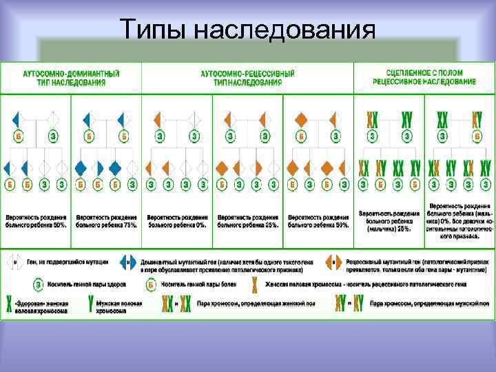 Типы наследования 