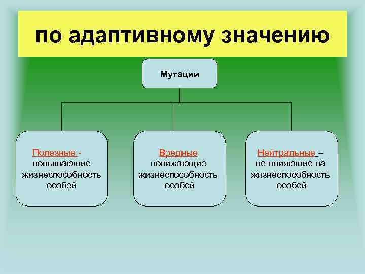 по адаптивному значению Мутации Полезные - повышающие жизнеспособность особей Вредные понижающие жизнеспособность особей Нейтральные