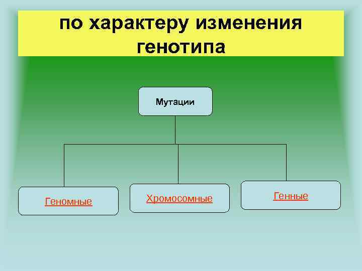по характеру изменения генотипа Мутации Геномные Хромосомные Генные 