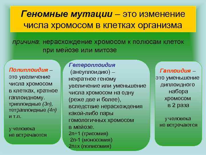 Сколько хромосом в геноме человека майнкрафт