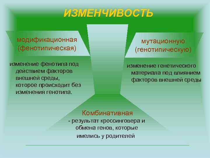 Генетическая среда. Комбинативная изменение генотипа и фенотипа. Изменение фенотипа под влиянием внешней среды. Влияние на генотип мутационной изменчивости и модификационной. Наследственность, изменчивость и среда..