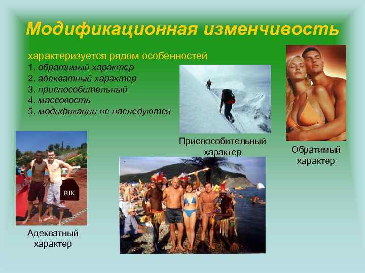 Модификационная изменчивость характеризуется рядом особенностей 1. обратимый характер 2. адекватный характер 3. приспособительный 4.