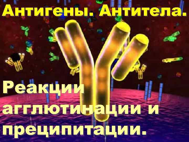 Антигены. Антитела. Реакции агглютинации и преципитации. 