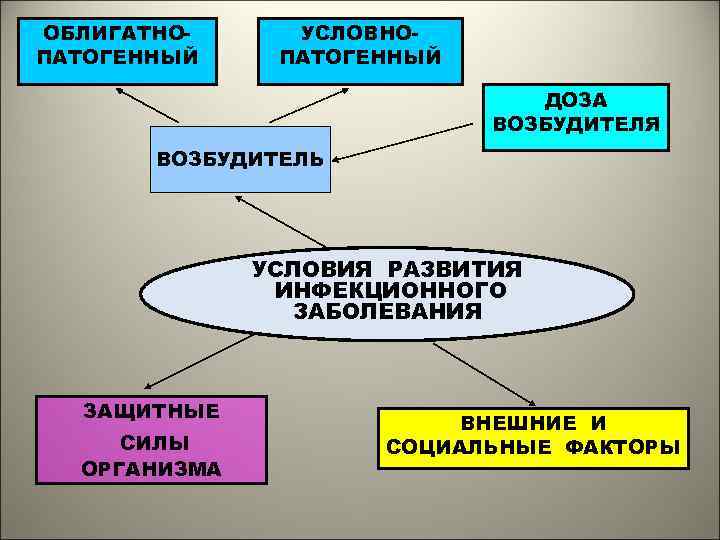 ОБЛИГАТНОПАТОГЕННЫЙ УСЛОВНОПАТОГЕННЫЙ ДОЗА ВОЗБУДИТЕЛЯ ВОЗБУДИТЕЛЬ УСЛОВИЯ РАЗВИТИЯ ИНФЕКЦИОННОГО ЗАБОЛЕВАНИЯ ЗАЩИТНЫЕ СИЛЫ ОРГАНИЗМА ВНЕШНИЕ И