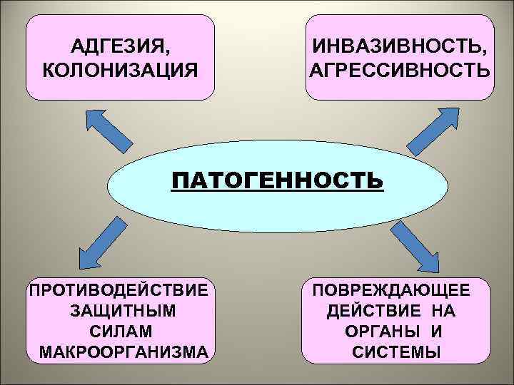 АДГЕЗИЯ, КОЛОНИЗАЦИЯ ИНВАЗИВНОСТЬ, АГРЕССИВНОСТЬ ПАТОГЕННОСТЬ ПРОТИВОДЕЙСТВИЕ ЗАЩИТНЫМ СИЛАМ МАКРООРГАНИЗМА ПОВРЕЖДАЮЩЕЕ ДЕЙСТВИЕ НА ОРГАНЫ И