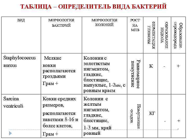 Определитель таблицы