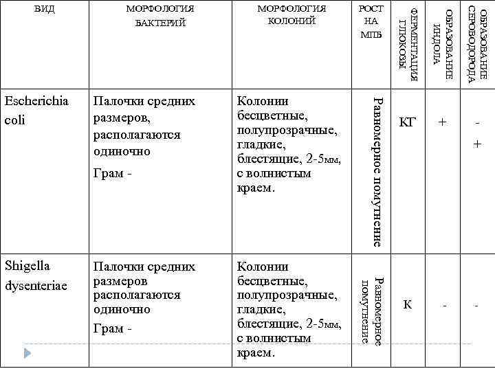 Палочки средних размеров располагаются одиночно Грам - Колонии бесцветные, полупрозрачные, гладкие, блестящие, 2 -5
