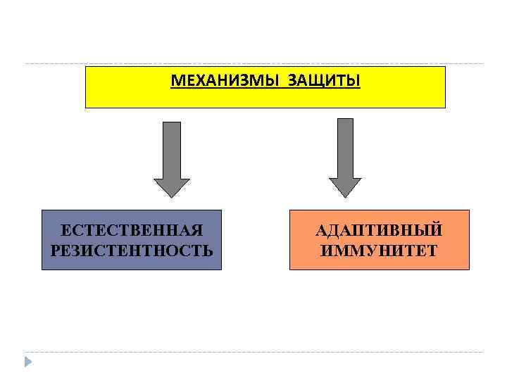 МЕХАНИЗМЫ ЗАЩИТЫ ЕСТЕСТВЕННАЯ РЕЗИСТЕНТНОСТЬ АДАПТИВНЫЙ ИММУНИТЕТ 