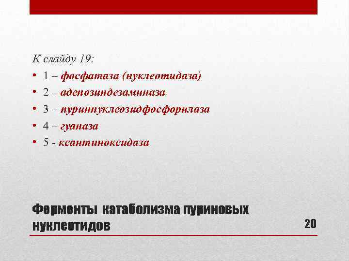 К слайду 19: • 1 – фосфатаза (нуклеотидаза) • 2 – аденозиндезаминаза • 3