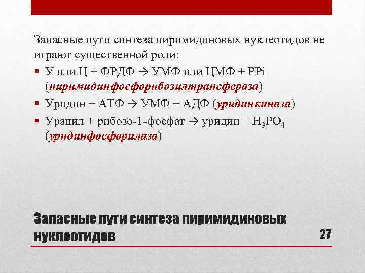 Запасные пути синтеза пиримидиновых нуклеотидов не играют существенной роли: § У или Ц +
