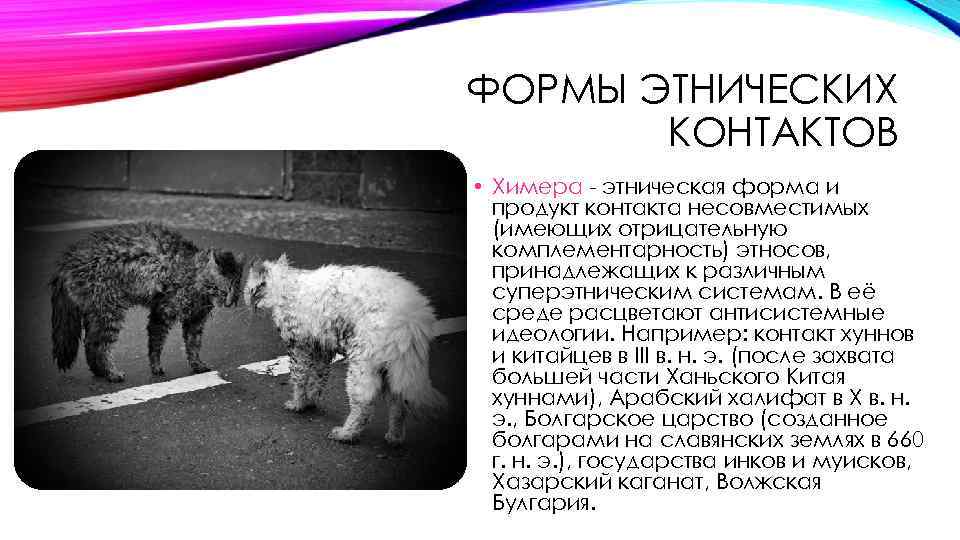 ФОРМЫ ЭТНИЧЕСКИХ КОНТАКТОВ • Химера - этническая форма и продукт контакта несовместимых (имеющих отрицательную