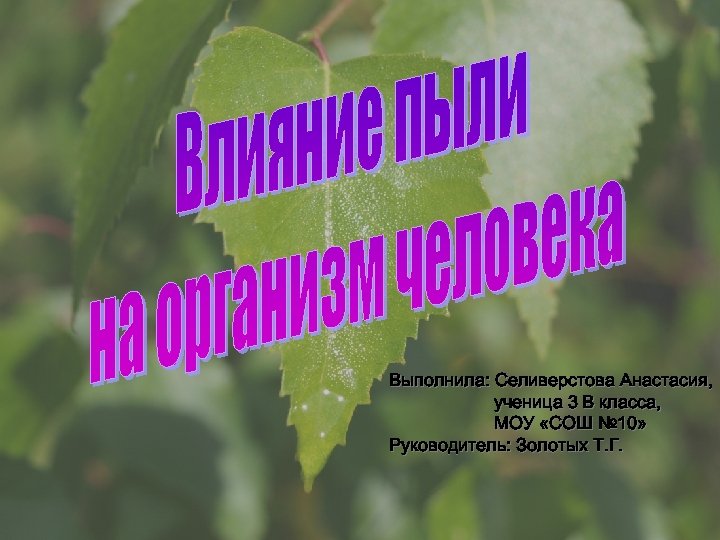 Выполнила: Селиверстова Анастасия, ученица 3 В класса, МОУ «СОШ № 10» Руководитель: Золотых Т.