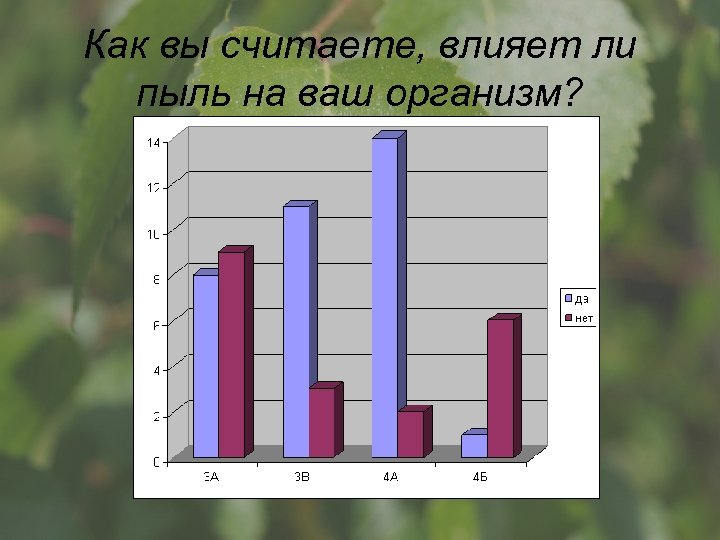 Как вы считаете, влияет ли пыль на ваш организм? 