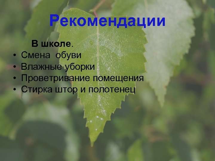 Рекомендации В школе. • Смена обуви • Влажные уборки • Проветривание помещения • Стирка