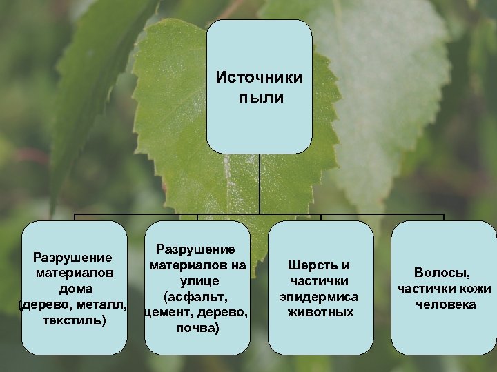 Источники пыли Разрушение материалов на материалов улице дома (асфальт, (дерево, металл, цемент, дерево, текстиль)