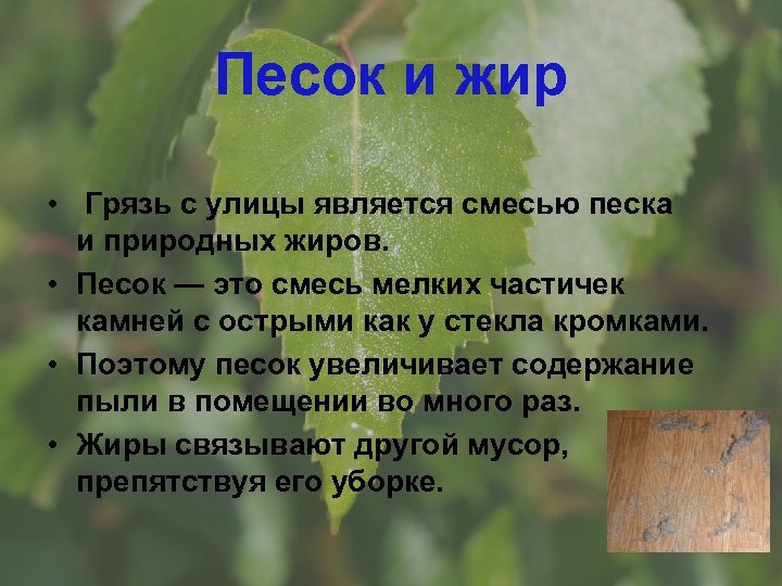 Песок и жир • Грязь с улицы является смесью песка и природных жиров. •