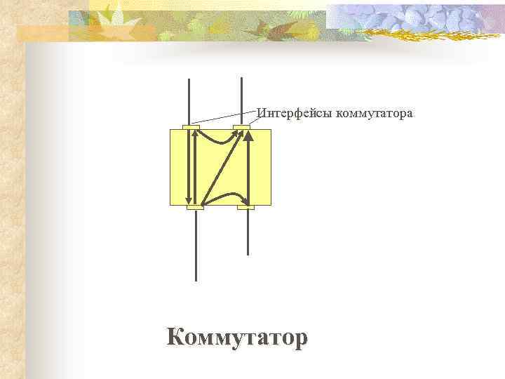 Интерфейсы коммутатора Коммутатор 