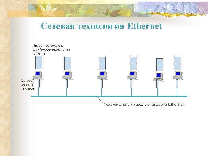 Сетевая технология Ethernet Набор протоколов, драйверов технологии Ethernet Сетевой адаптер Ethernet Коаксиальный кабель стандарта