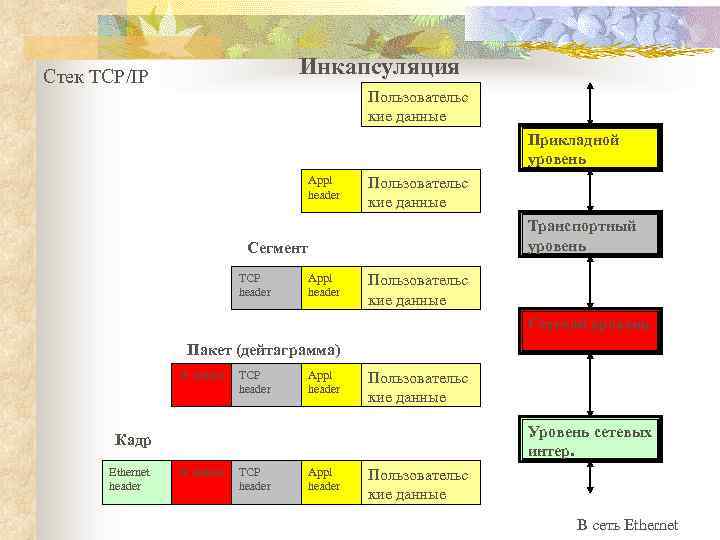 Инкапсуляция Стек TCP/IP Пользовательс кие данные Прикладной уровень Appl header Пользовательс кие данные Транспортный