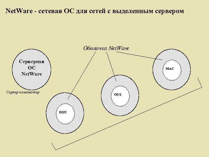 Net. Ware - сетевая ОС для сетей с выделенным сервером Оболочка Net. Ware Серверная