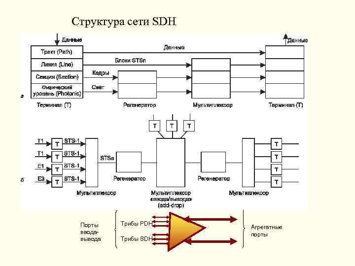 Структура сети SDH Порты вводавывода Трибы PDH Трибы SDH Агрегатные порты 