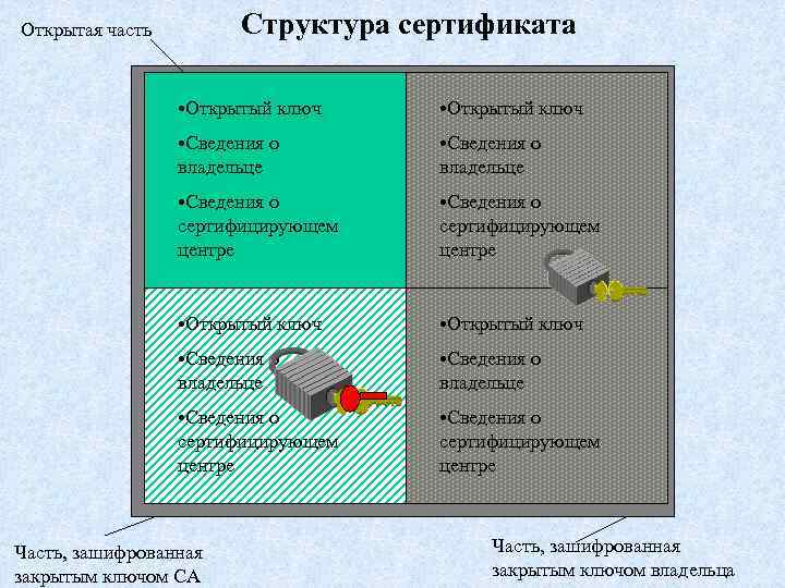 Структура сертификата Открытая часть • Открытый ключ • Сведения о владельце • Сведения о