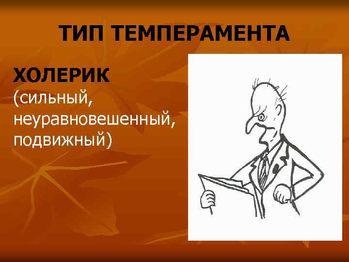 ТИП ТЕМПЕРАМЕНТА ХОЛЕРИК (сильный, неуравновешенный, подвижный) 