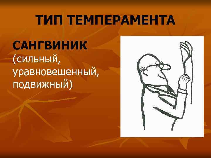 ТИП ТЕМПЕРАМЕНТА САНГВИНИК (сильный, уравновешенный, подвижный) 