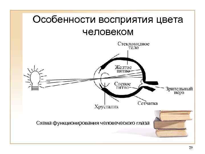 Особенности восприятия интерьера