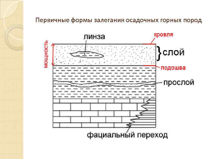 Первичные формы залегания осадочных горных пород 