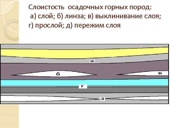 Слоистость осадочных горных пород: а) слой; б) линза; в) выклинивание слоя; г) прослой; д)