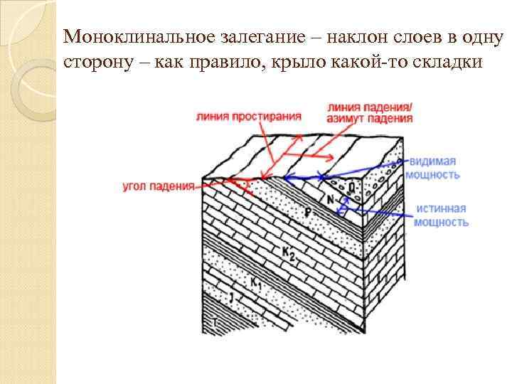 Моноклинальное залегание – наклон слоев в одну сторону – как правило, крыло какой-то складки