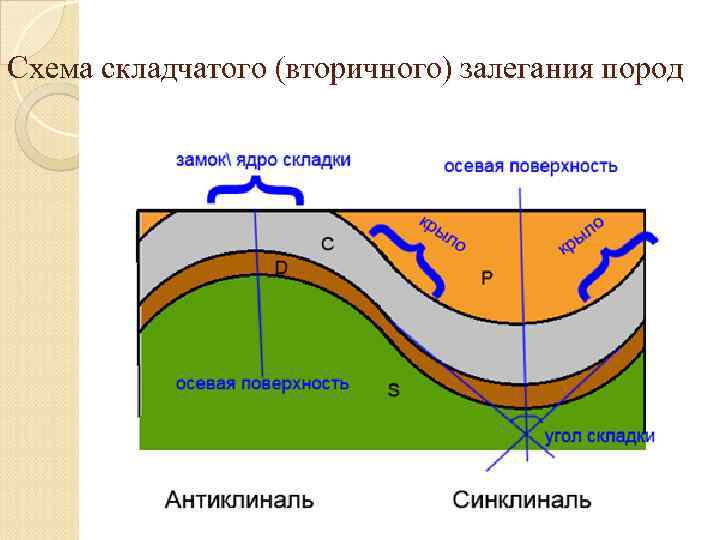 Схема складчатого (вторичного) залегания пород 