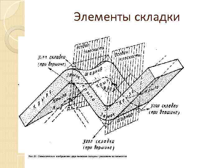 Элементы складки Рис. 81. Схематическое изображение двух смежных складок с указанием их элементов 